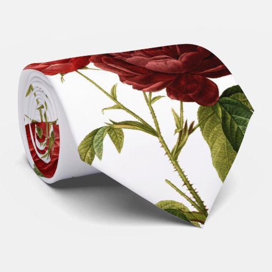 Cravate Peinture vintage rouge-foncé de roses (Roulé)