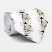 CRAVATE PENGUIN (Roulé)