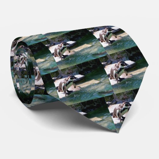 Cravate Penguin de Humboldt (Roulé)