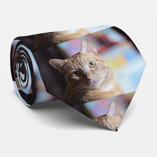 Cravate Penny (Roulé)