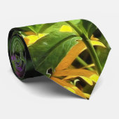 Cravate Peppermint Twist Phlox dans le jardin des fleurs (Roulé)