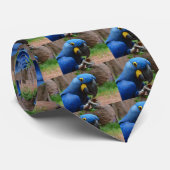 Cravate perroquet de blauaras (Roulé)