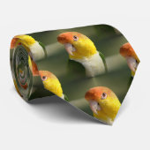 Cravate Perroquet de caïque gonflé par blanc mignon (Roulé)