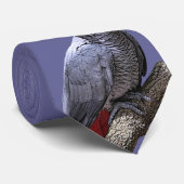 Cravate Perroquet de gris africain sur la branche (Roulé)