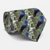 Cravate Perroquet noir australien (Roulé)