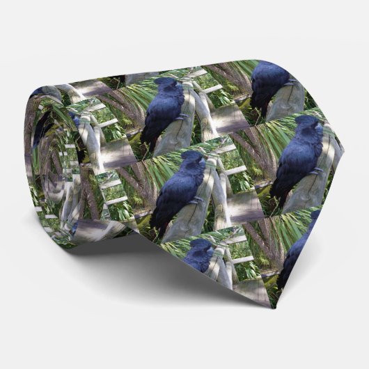 Cravate Perroquet noir australien (Roulé)