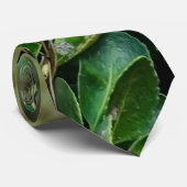 Cravate Perroquet vert (Roulé)