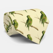 Cravate Perruche à ailes dorées de Cayenne (Roulé)