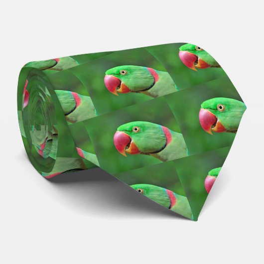 Cravate Perruche alexandrine (Roulé)