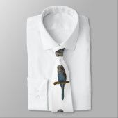 Cravate Perruche bleue (Attaché)
