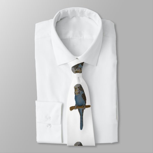 Cravate Perruche bleue (Attaché)
