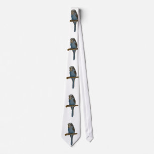 Cravate Perruche bleue