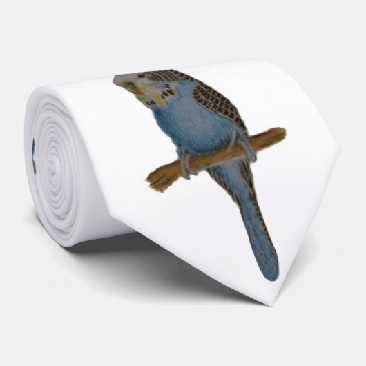 Cravate Perruche bleue (Roulé)