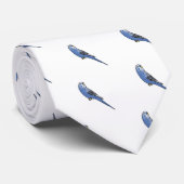 Cravate Perruche bleue (Roulé)