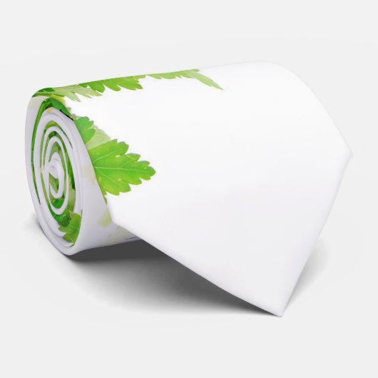 Cravate Persil frais (Roulé)
