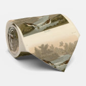 Cravate Petit bécasseau des oiseaux d'Amérique d'Audubon (Roulé)