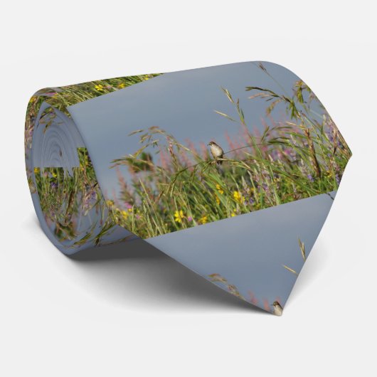 Cravate Petit colibri gras (Roulé)