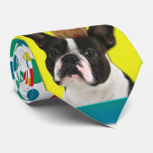 Cravate Petit gâteau d'anniversaire - Boston Terrier (Roulé)