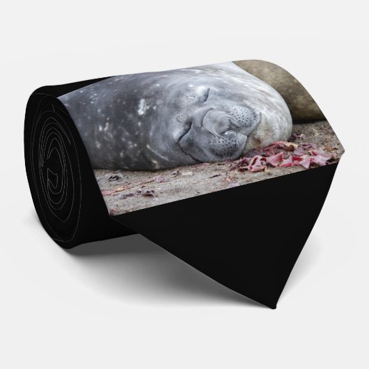 Cravate Phoque d'éléphant dormant (Roulé)