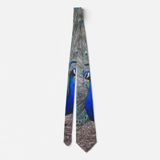 CRAVATE PHOTO PEACOCK (Dos)