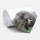 Cravate Photographie africaine de la faune Elephant Bull (Roulé)