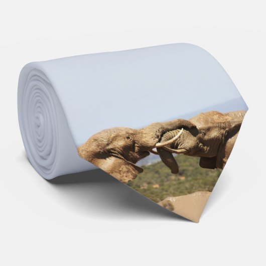 Cravate Photographie africaine de la faune Elephant Tussle (Roulé)
