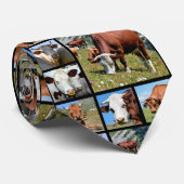 Cravate Photos mosaïque de vaches (Roulé)