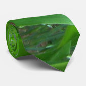 Cravate Pieds de maïs vert/photo feuille (Roulé)