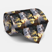 Cravate Pierre (Roulé)