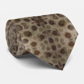 Cravate Pierre de Petoskey (Roulé)