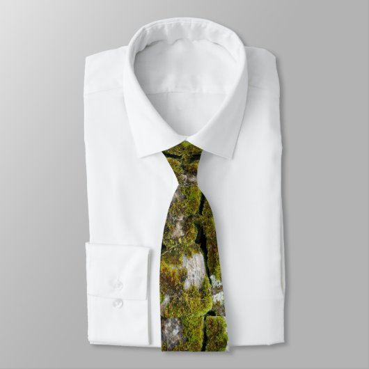 Cravate pierre et mousse (Attaché)