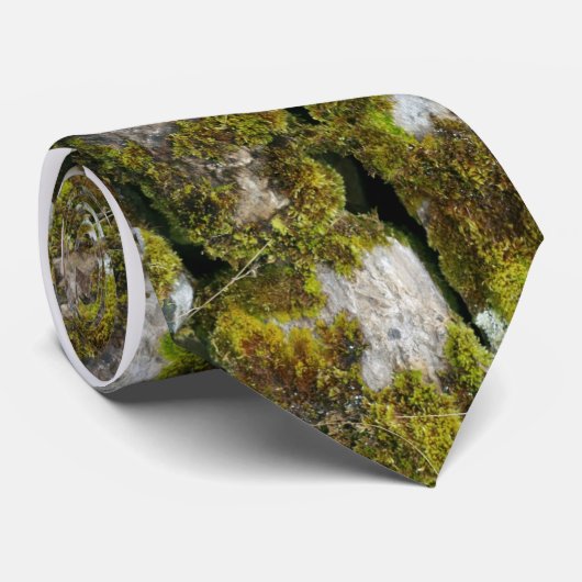 Cravate pierre et mousse (Roulé)