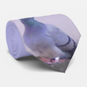 Cravate Pigeon de ville (Roulé)