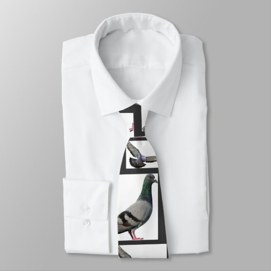 Cravate Pigeons (Attaché)