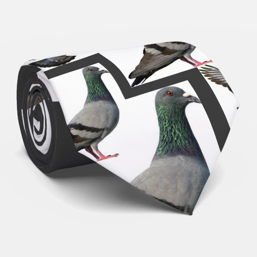 Cravate Pigeons (Roulé)