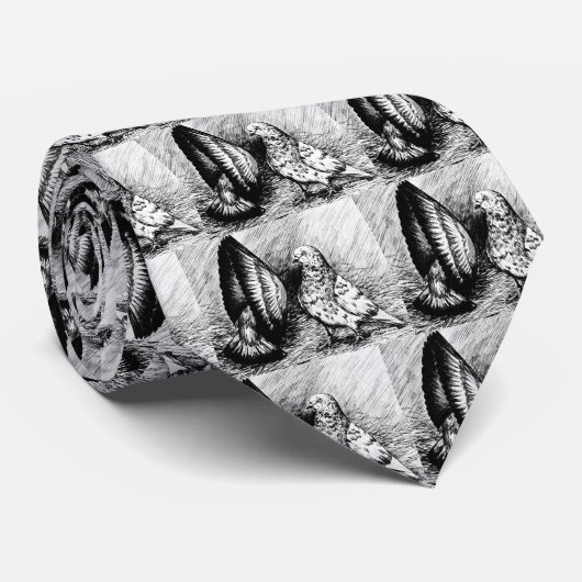 Cravate Pigeons à rouleaux (Roulé)