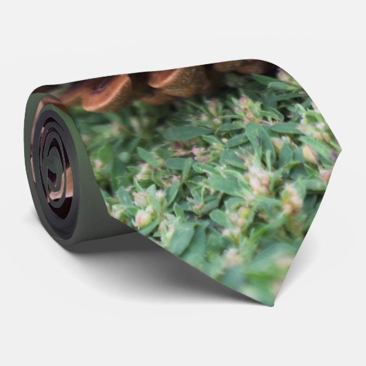 Cravate Pinecone (Roulé)