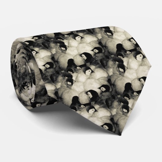 Cravate Pingouins (Roulé)