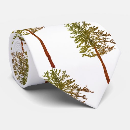 Cravate Pins (Roulé)