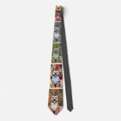 Cravate Pit bull dog men's Tie Abstract (Devant)