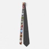 Cravate Pit bull dog men's Tie Abstract (Dos)