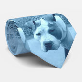 Cravate Pitbull en bleu (Roulé)