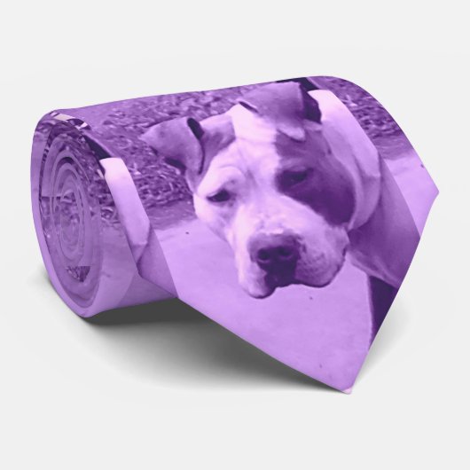 Cravate Pitbull en pourpre (Roulé)