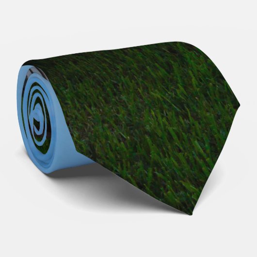 Cravate pittoresque Hammock (Roulé)