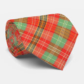Cravate Plaid Corail & Sauge (Roulé)