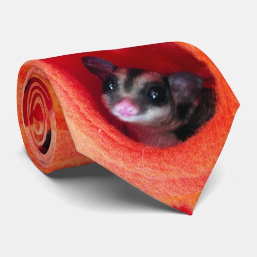 Cravate Planeur à sucre en Orange Hanging Lit (Roulé)