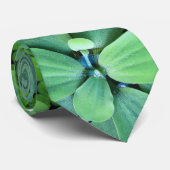 Cravate Plante (Roulé)