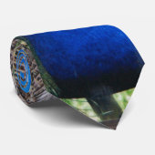 Cravate Plein plumage de paon bleu (Roulé)