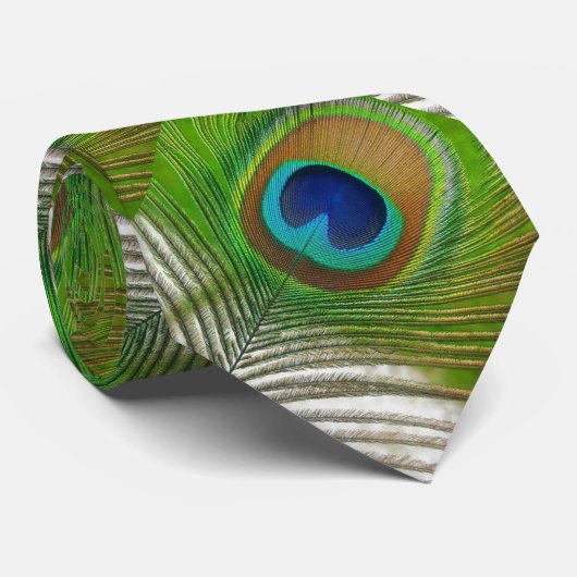 Cravate Plume de paon (Roulé)