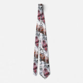 Cravate Plumes, ethniques, boho. (Dos)